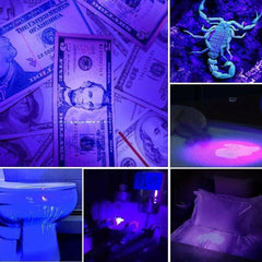 Multifunctional Counterfeit Detector UV LED Flashlight
