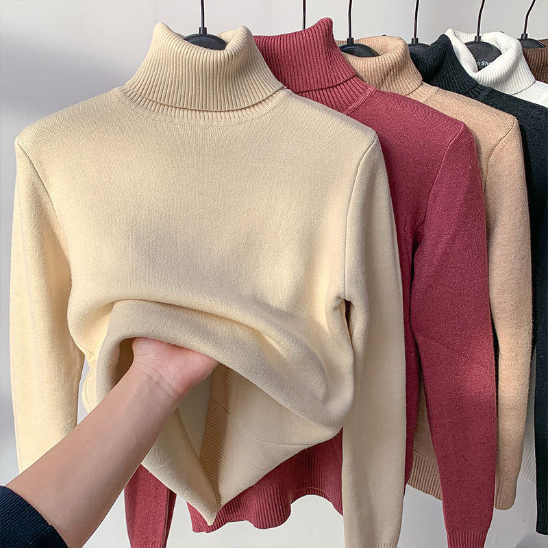 Women's Elegant Turtle Neck Sweater