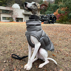 Dog's Thickened Thermal Coat