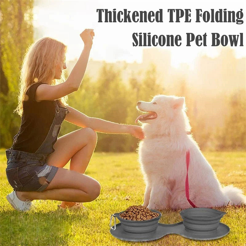 Foldable Double Pet Bowl