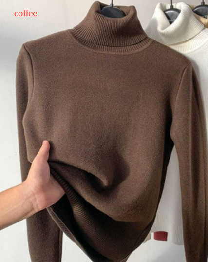 Women's Elegant Turtle Neck Sweater