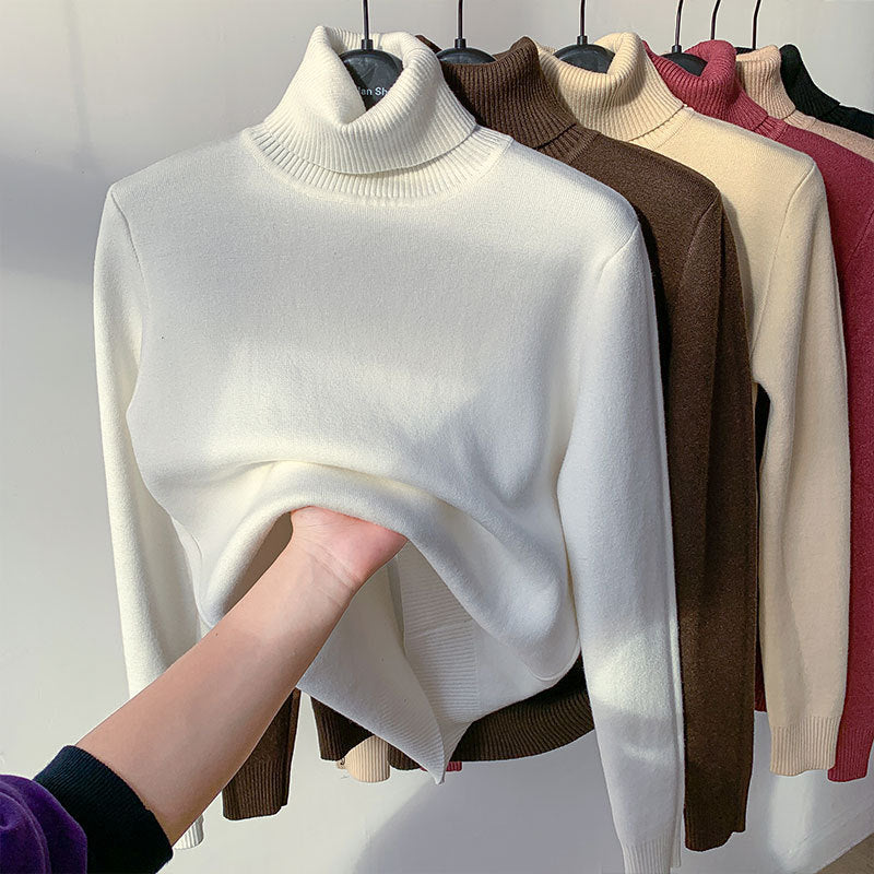 Women's Elegant Turtle Neck Sweater